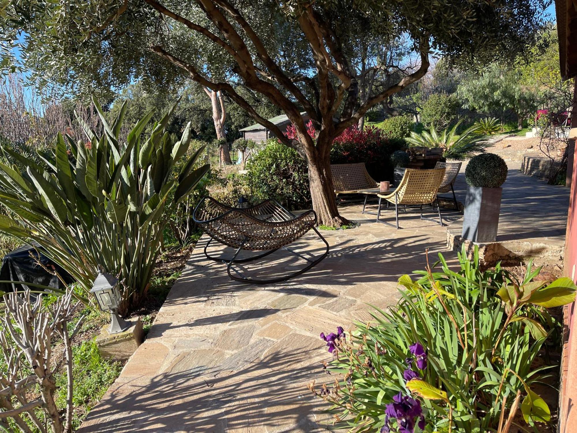Carpediem_Corsica Poggio-d'Oletta Exterior photo