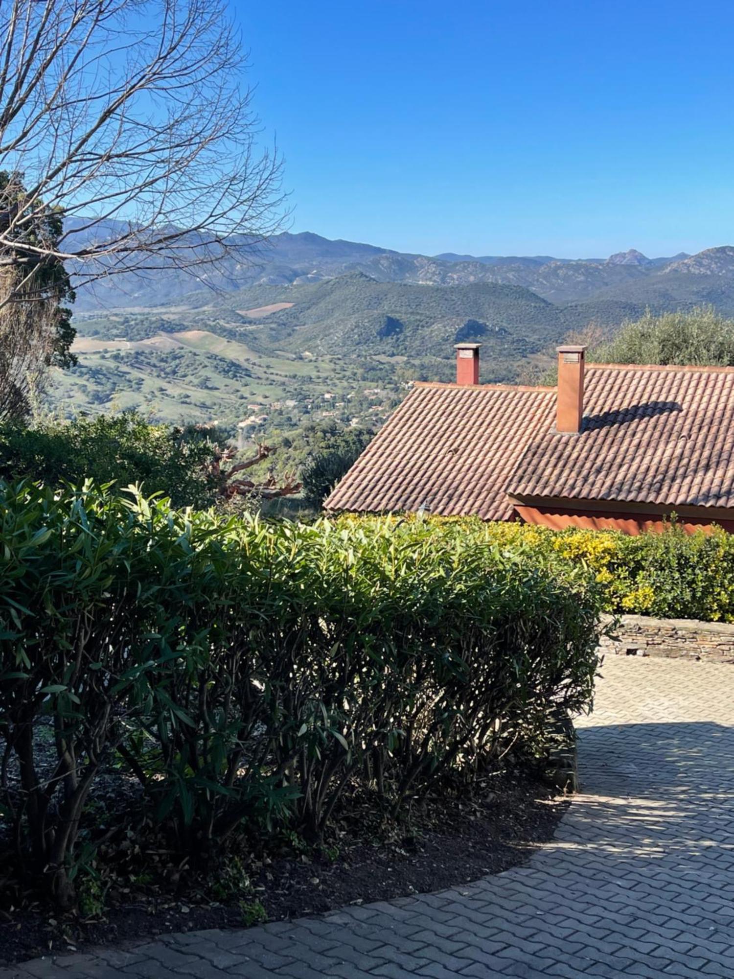Carpediem_Corsica Poggio-d'Oletta Exterior photo