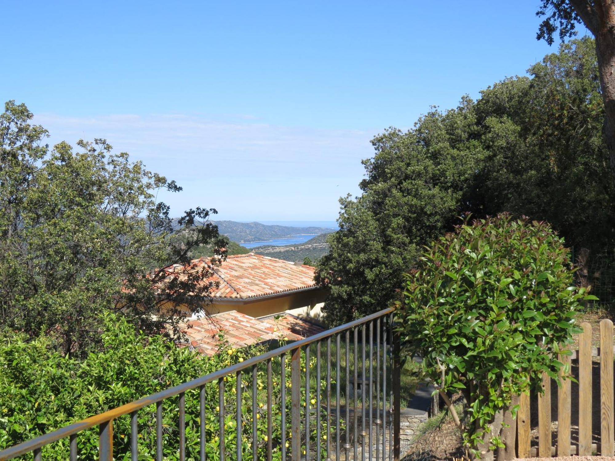 Carpediem_Corsica Poggio-d'Oletta Exterior photo